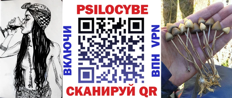 Купить закладки  Болотное  Псилоцибиновые грибы Psilocybine cubensis 