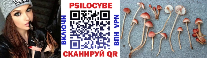 Галлюциногенные грибы MAGIC MUSHROOMS Болотное