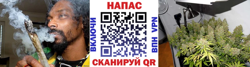 Купить где  Болотное  Шишки марихуана Bruce Banner 